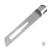 Premax Lame Sgorbie in Acciaio Inossidabile Nr. 6 - Monouso Sterilizzate- 100 pz