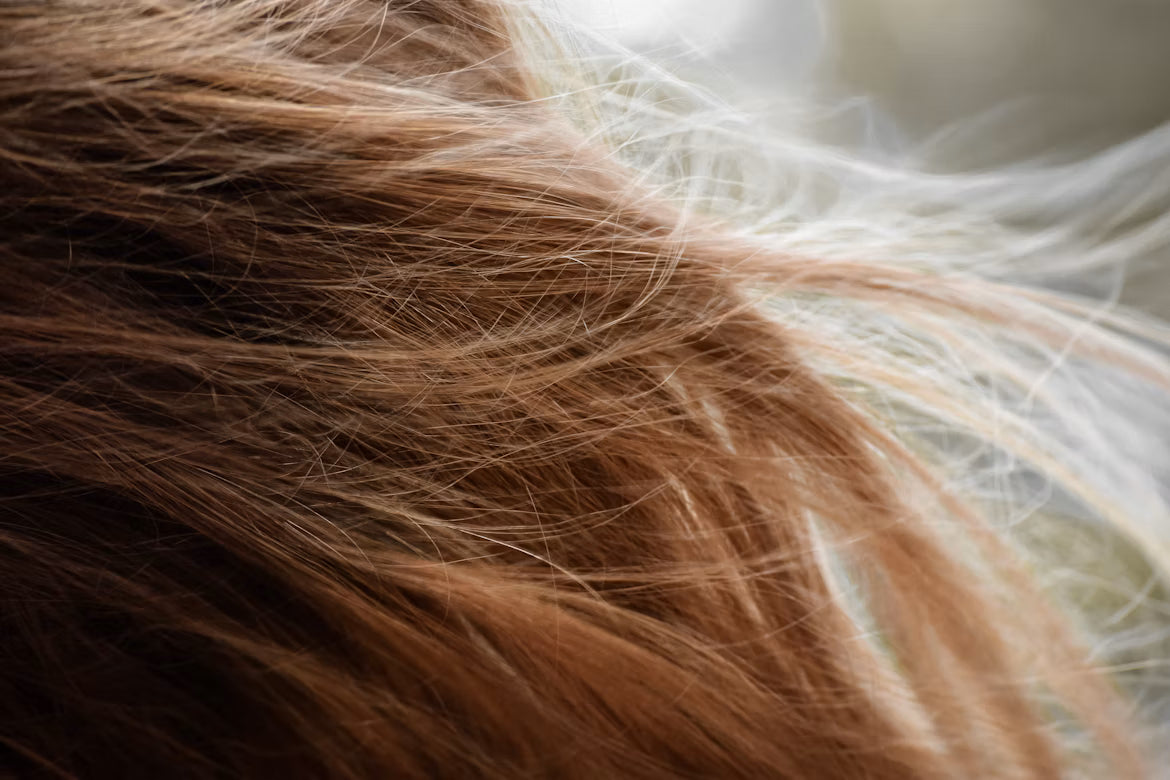 Come prevenire le doppie punte e mantenere i capelli sani
