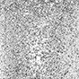 Peggy Sage Smalto Semipermanente I-LAK- Silver Mine- 11 ml
