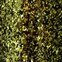 Peggy Sage Smalto Semipermanente 3-IN-1 1-LAK- Golden Night- 5 ml